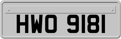 HWO9181