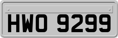 HWO9299