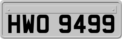 HWO9499