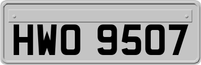 HWO9507