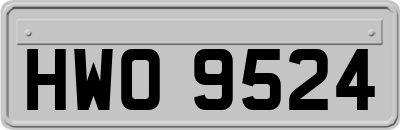 HWO9524