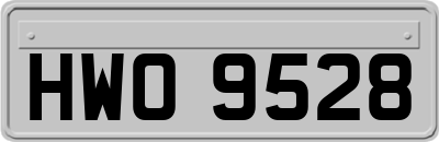 HWO9528