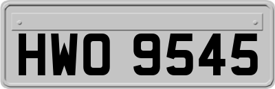 HWO9545