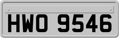 HWO9546