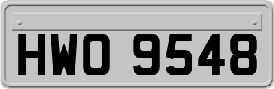 HWO9548