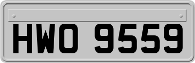 HWO9559