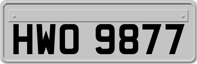 HWO9877