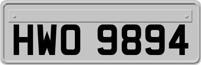 HWO9894