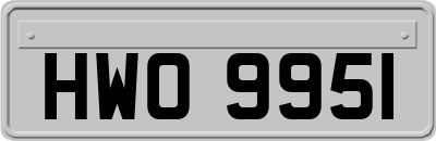 HWO9951