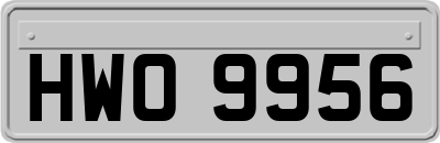HWO9956