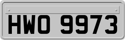 HWO9973