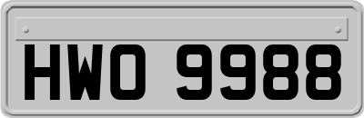 HWO9988