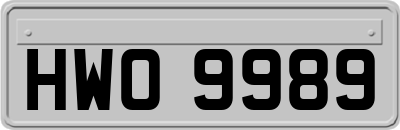 HWO9989