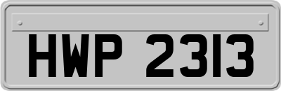HWP2313