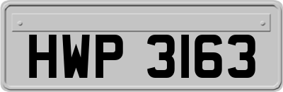HWP3163