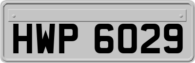 HWP6029