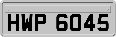 HWP6045