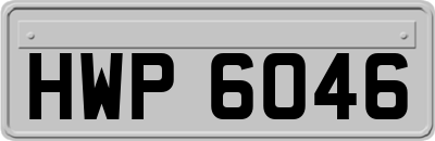 HWP6046