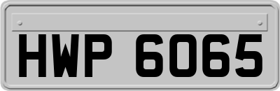 HWP6065