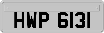 HWP6131