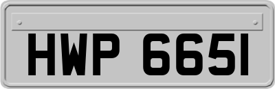 HWP6651