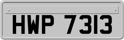 HWP7313
