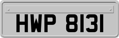 HWP8131