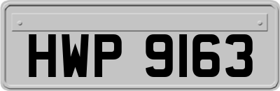 HWP9163