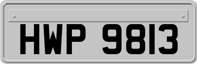 HWP9813