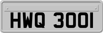 HWQ3001