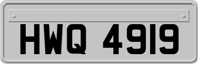 HWQ4919