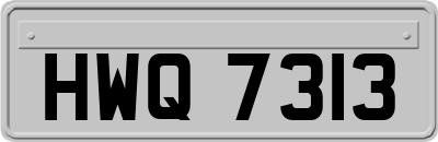 HWQ7313