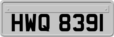 HWQ8391