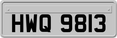 HWQ9813