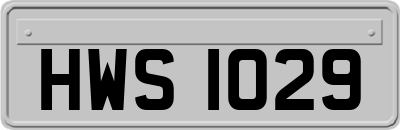 HWS1029
