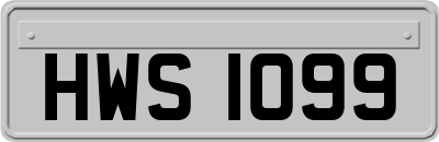 HWS1099