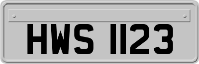 HWS1123