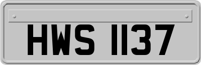 HWS1137