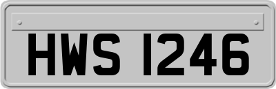 HWS1246
