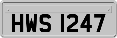 HWS1247
