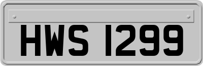 HWS1299