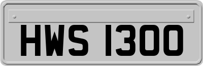 HWS1300