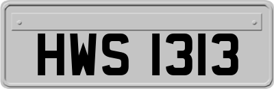 HWS1313