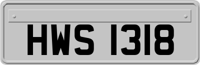 HWS1318