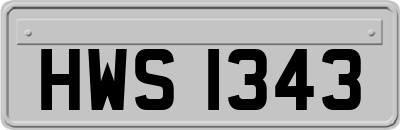HWS1343