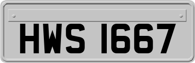 HWS1667