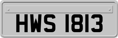 HWS1813