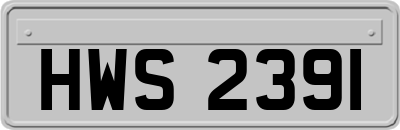 HWS2391