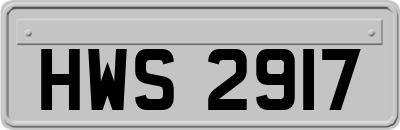 HWS2917