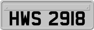 HWS2918